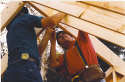 Rafters Closeup